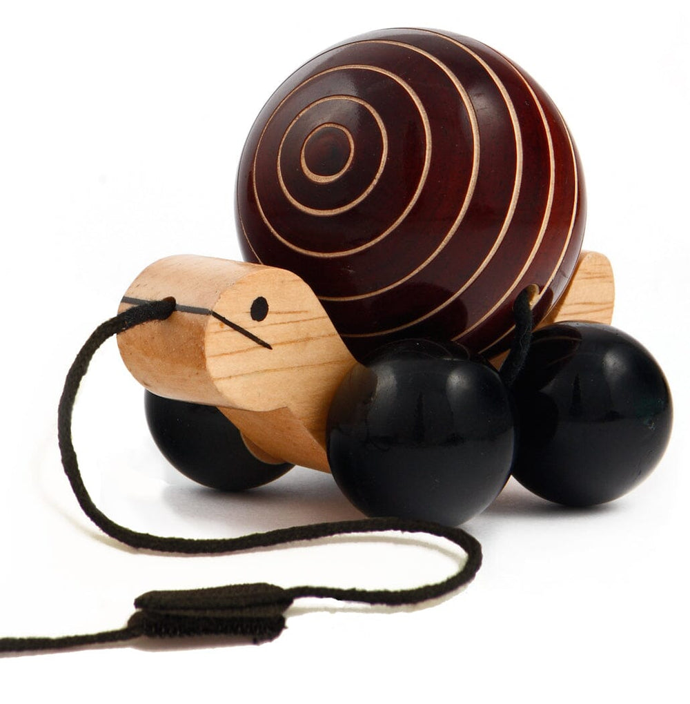 Pull Along Wooden Toy Turtle Rotating Shell Baby Activity Toys Ethiqana Brown